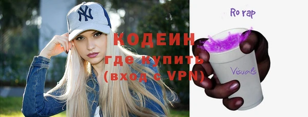 индика Снежинск