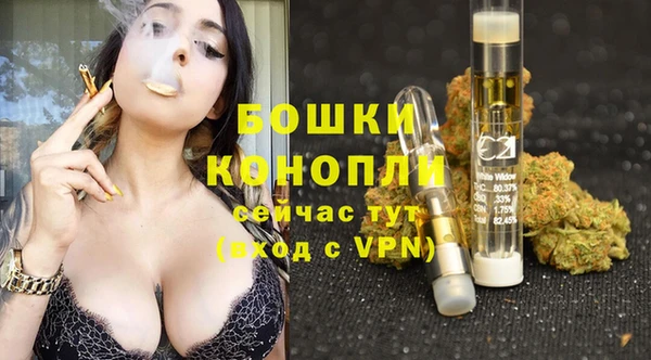 стаф Нижневартовск