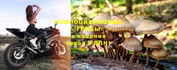 индика Снежинск