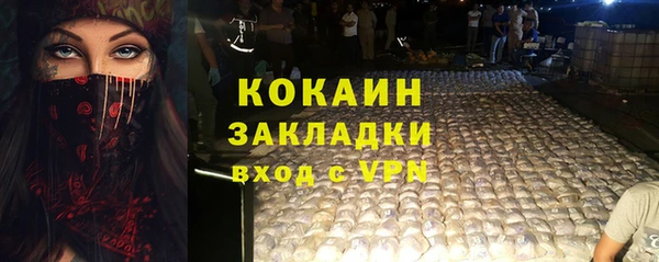 ГАЛЛЮЦИНОГЕННЫЕ ГРИБЫ Снежногорск